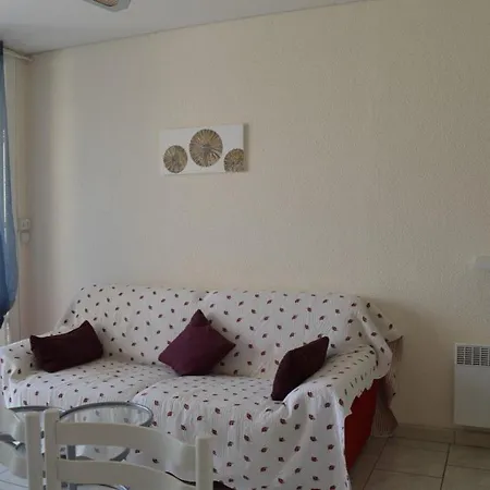 Sc590-197appart 3 Pieces 6 Couchages St Cyprien דירה סן סיפריאן